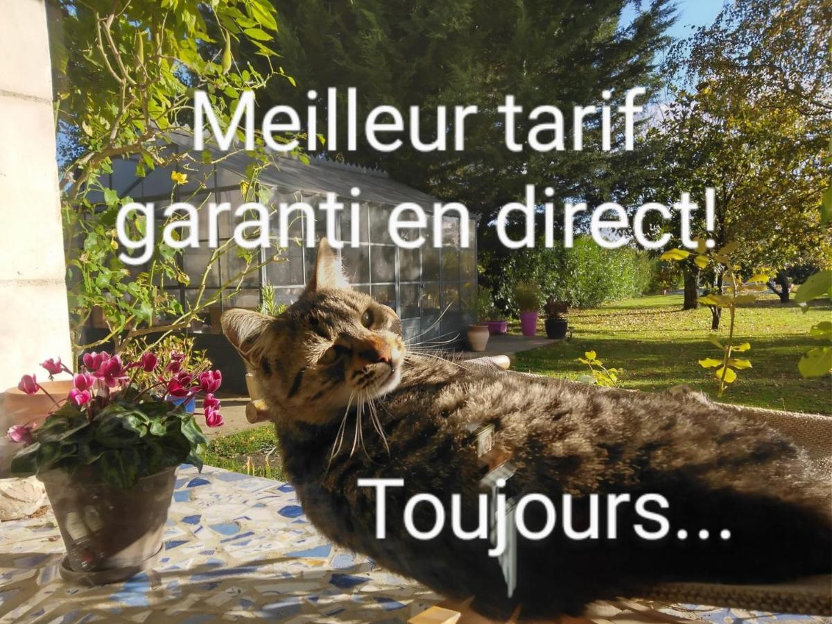 La Grange Dimiere, Pres De Tours Bed and Breakfast Saint-Genouph Exteriör bild