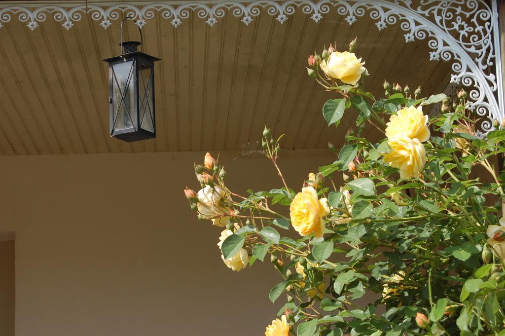 La Grange Dimiere, Pres De Tours Bed and Breakfast Saint-Genouph Exteriör bild
